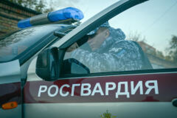 Трудоустройство в подразделения вневедомственной охраны Росгвардии (Пензенская область)