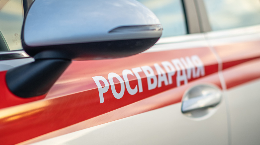 В селе Бессоновка росгвардейцы задержали гражданина, устроившего дебош в продовольственном магазине