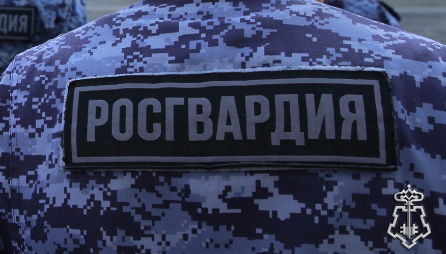 В День молодежи безопасность в Пензенской области усилят Росгвардия и полиция 