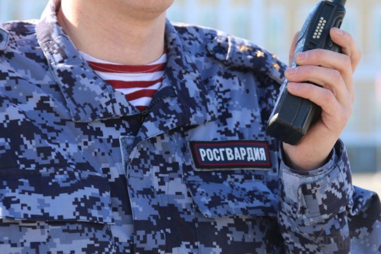 IX Всероссийский фестиваль «Марсово поле» в Пензе прошел при обеспечении безопасности сотрудников полиции и Росгвардии