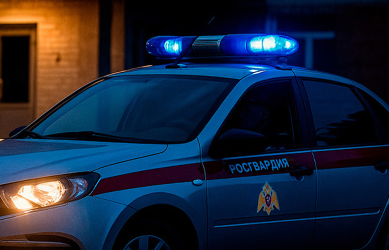 Бойцы Росгвардии и полиции пресекли уличную драку в Пензе