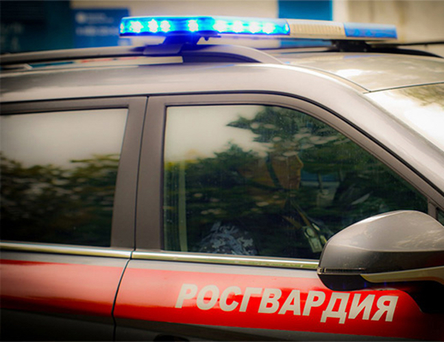 Бойцы Росгвардии пресекли дебош в ночном клубе Пензы
