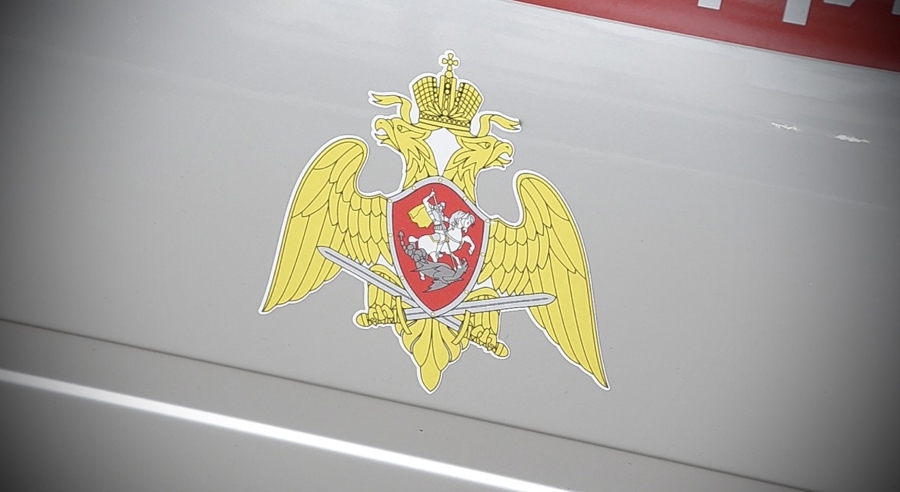 В пиццерии Пензы сотрудники вневедомственной охраны задержали нетрезвого молодого человека, пытавшегося произвести впечатление на знакомых