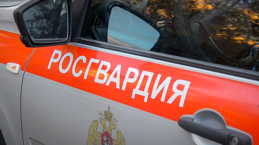 В Пензе росгвардейцы задержали молодого человека, разбившего входную дверь магазина черенком лопаты 