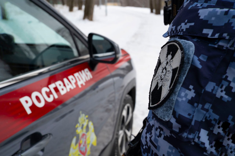 В Пензе росгвардейцы задержали двух молодых людей, устроивших пьяный дебош в торговом центре