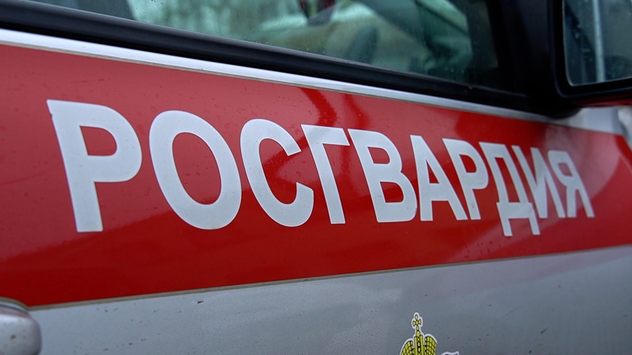 В Пензе сотрудники Росгвардии задержали двух нетрезвых мужчин, пристававших к девушке-бармену