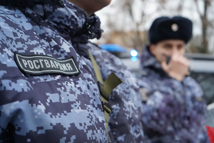 В Каменке росгвардейцы задержали нетрезвого мужчину, ломившегося в чужую квартиру 