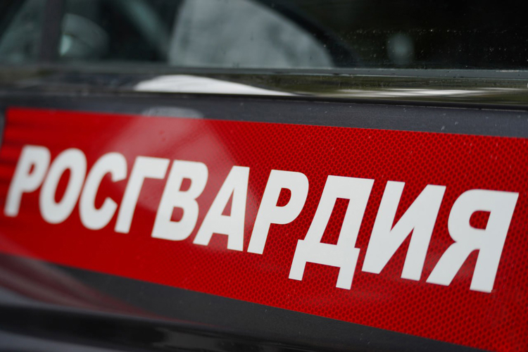 Бойцы Росгвардии предотвратили драку в одном из баров Пензы