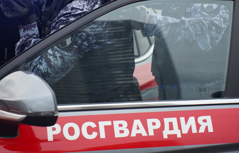В Пензе бойцы Росгвардии задержали буйного посетителя сауны, повредившего наружный светильник