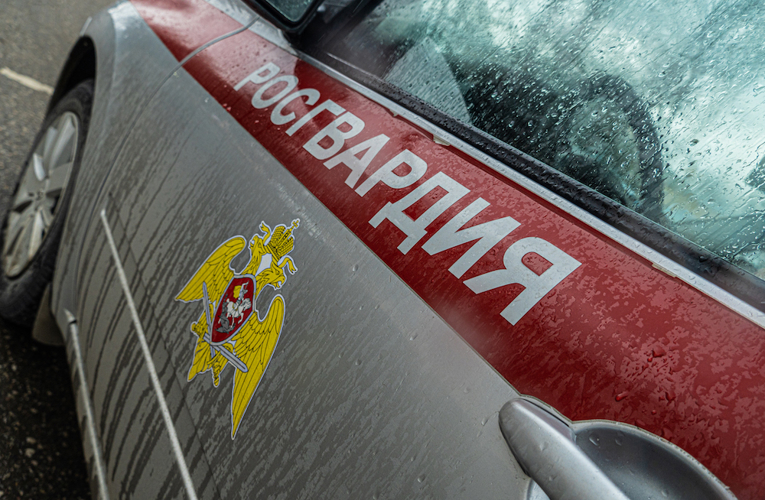 В Пензе росгвардейцы задержали мужчину, укравшего дорогостоящий алкоголь 