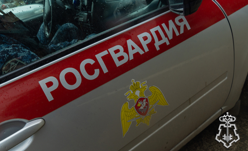 В Пензе бойцы Росгвардии пресекли ночные посиделки с алкоголем в подъезде жилого дома