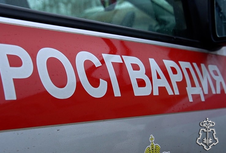 Росгвардейцы задержали жителя Пензы, устроившего дебош в баре из-за безответных чувств  