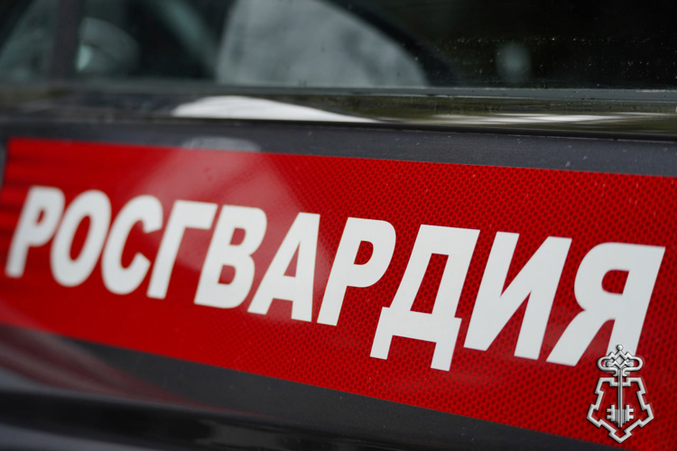 В Пензе сотрудники Росгвардии пресекли нарушение тишины в ночное время