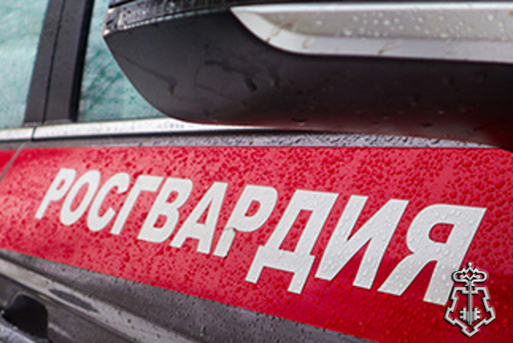 В Пензе росгвардейцы задержали мужчину, устроившего драку в баре